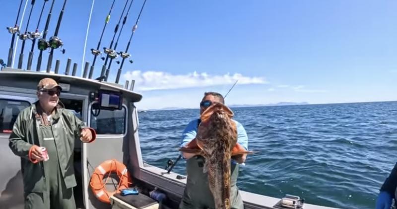Petualangan Memancing di Alaska, Berburu `Monster` Laut Utara