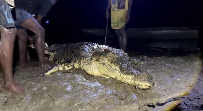 Ekspedisi Mamberamo: Menyusuri Sungai Terpanjang di Papua, Menyaksikan Tradisi Berburu Buaya dan Rusa