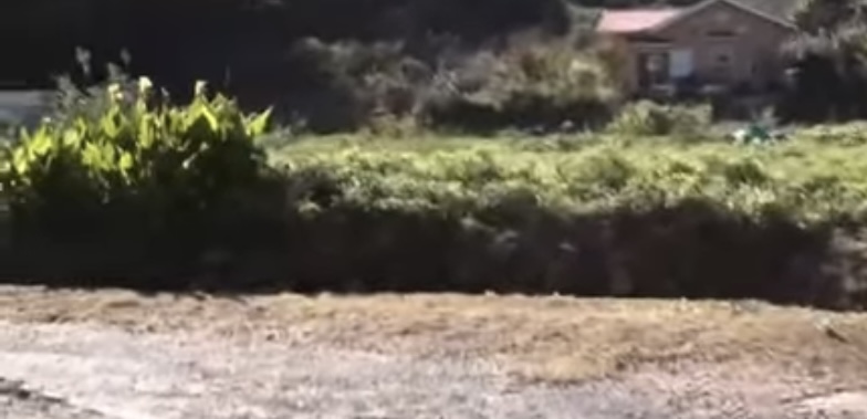 Pembelian Lahan oleh Warga China di Pulau Kasa Jepang Picu Kekhawatiran Keamanan Nasional