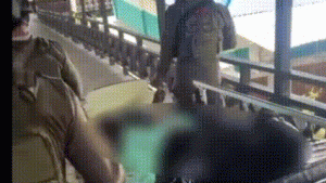 Satgas Damai Cartenz Lumpuhkan DPO KKB Puncak Jaya, Terlibat Serangkaian Aksi Kekerasan Sejak 2019