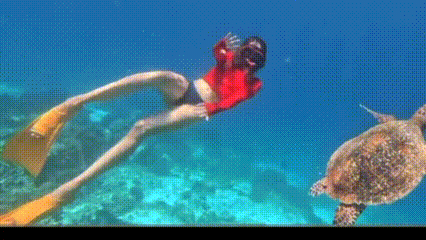 Cinta Laura Terpukau Keindahan Raja Ampat, Soroti Pentingnya Jaga Lingkungan Papua 