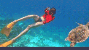 Cinta Laura Terpukau Keindahan Raja Ampat, Soroti Pentingnya Jaga Lingkungan Papua