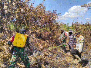  TNI Angkatan Laut Sigap Tangani Karhutla di Perbatasan Sambas, Api Berhasil Dipadamkan