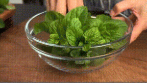  Tren Kecantikan Jepang Viral, Dikaitkan dengan Lagu Emosional Bertema Cinta Modern