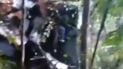  Helikopter PK-CFX Jatuh di Sanggau, Sempat Kirim Sinyal Darurat Sebelum Hilang Kontak