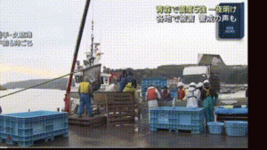  Pasca Gempa, Nelayan Jepang Tetap Melaut di Tengah Kekhawatiran