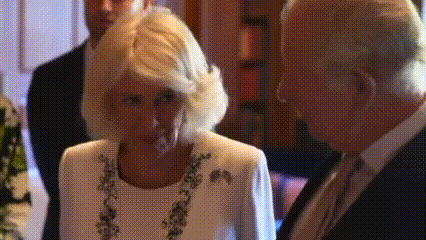 Ratu Camilla Soroti Kekerasan Domestik dan Hubungan AS–Inggris dalam Kunjungan ke Washington