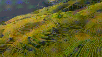 Vietnam: Negeri Murah, Ramai, dan Penuh Kejutan yang Bikin Wisatawan Dunia Sulit Pulang