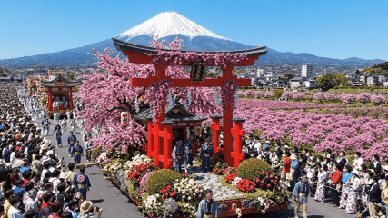  Lautan Bunga Merah Muda di Kaki Gunung Fuji, Festival Fuji Shibazakura 2026 Suguhkan Panorama Musim Semi Paling Memikat di Jepang