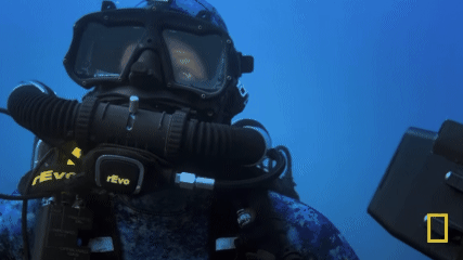  Bertie Gregory Telusuri Nasib Hiu Martil yang Terancam Punah dalam Dokumenter Terbaru National Geographic