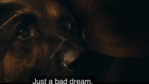 Brad Pitt dan Anjing Tempur Hadapi Misi Bertahan Hidup dalam Film “Heart of the Beast”