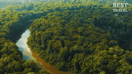 Guyana, Negeri Sungai dan Hutan Hujan yang Menjaga Harmoni Tradisi di Tengah Perubahan