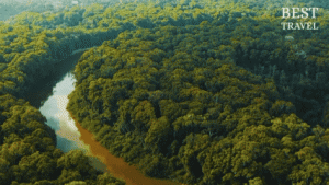 Guyana, Negeri Sungai dan Hutan Hujan yang Menjaga Harmoni Tradisi di Tengah Perubahan